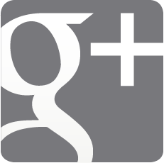 google plus grey vector logo copy
